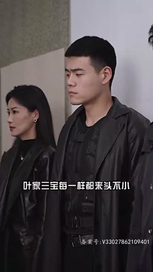 至尊战狼（100集）演的怎么样