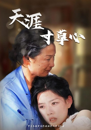 短剧《天涯寸草心（76集）》母爱如山的感人演绎