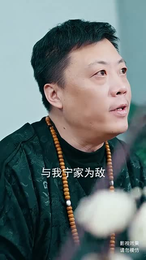 宁北王（101集）大结局一气呵成